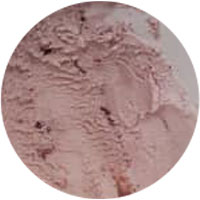 Chocolate Shoppe Ice Cream