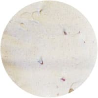 Chocolate Shoppe Ice Cream