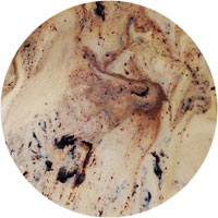 Chocolate Shoppe Ice Cream